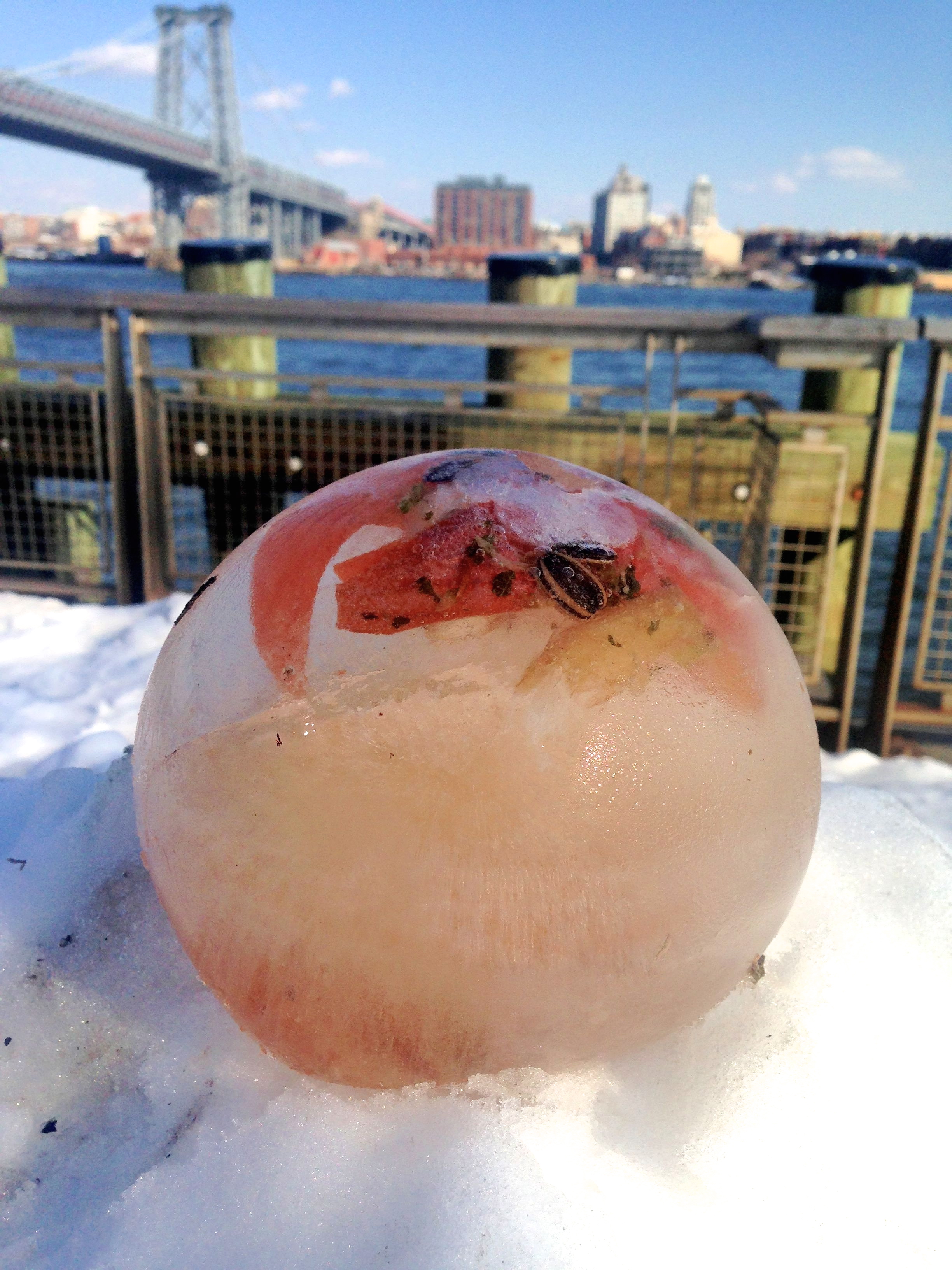 MoS Estuary 2.0. The Harbor Phyto Myco Micro Moss Mollusk Program. Beneficial Ice ball. ©2015 Photo by dd maucher